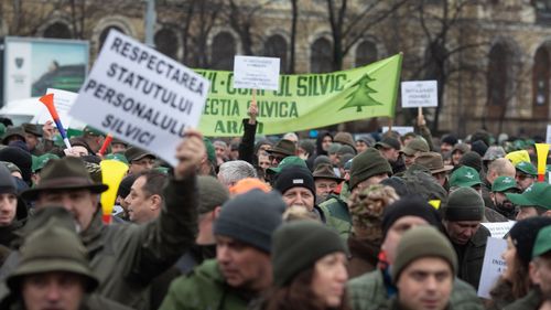 Un nou protest al silvicultorilor, miercuri, la Camera Deputaţilor / Silvicultorii susțin că reorganizarea Regiei Naţionale a Pădurilor încalcă prevederile Constituţiei României