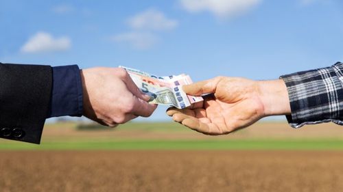 Agricultură pe datorie: Unii fermieri au împrumutat bani în contul subvențiilor agricole europene / Creșterea avansului de la 50% la 70% decisă de Comisia Europeană „nu este de mare ajutor” – Răzvan Avram, fermier, Vrancea