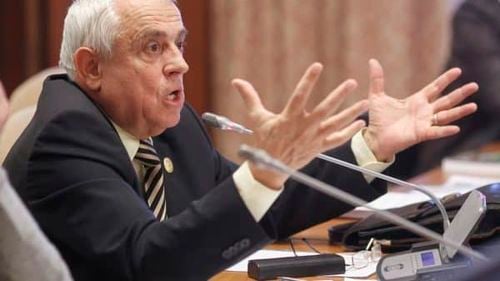 EXCLUSIV România îşi sacrifică albinele pentru a servi interesele marilor fermieri. Bucureştiul susţine folosirea unor pesticide care au decimat deja insectele din Franţa şi Germania