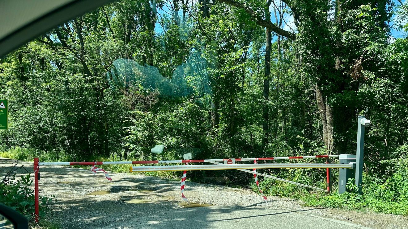 FOTO Primăria Sectorului 1 a autorizat al doilea acces rutier din Greenfield către Șoseaua de Centură / Drumul prevăzut prin PUZ încă din 2019 și asumat de dezvoltator nu a fost executat până acum / Imagini surprind bariere care blochează drumul forestier din Pădurea Băneasa
