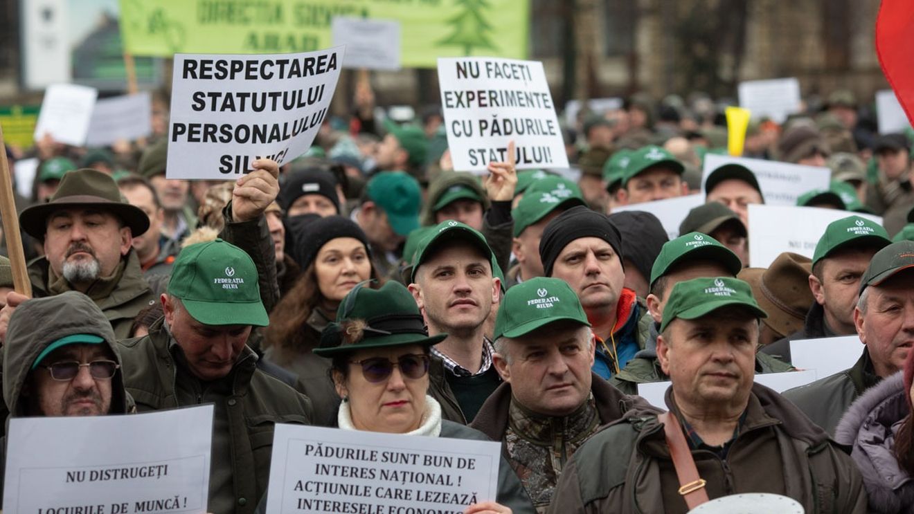 Silvicultorii protestează în Bucureşti  / Se vor alătura şi alte categorii socio – profesionale / Solicitările vizează Legea pensiilor şi Codul silvic