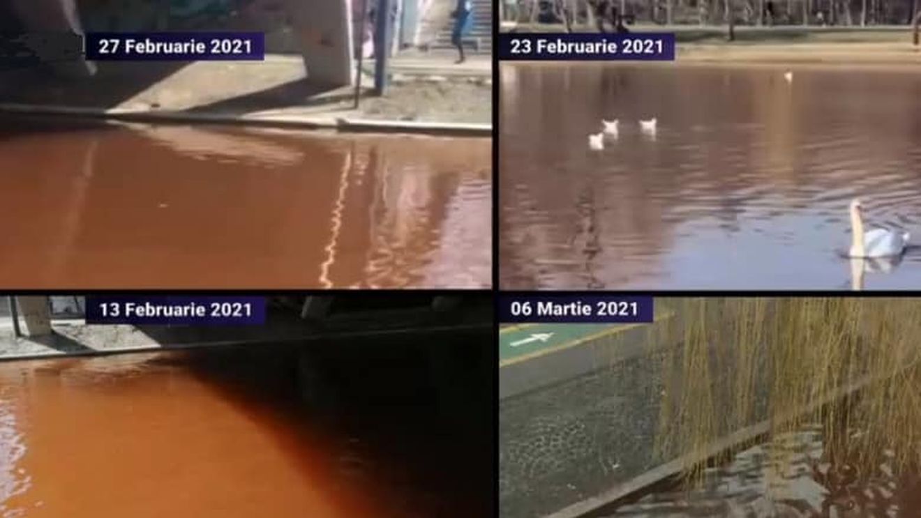 Apele Române: Indicatorii de calitate ai apei din lacul IOR se situează în jurul valorilor normale/ Apa este roșie de câteva săptămâni