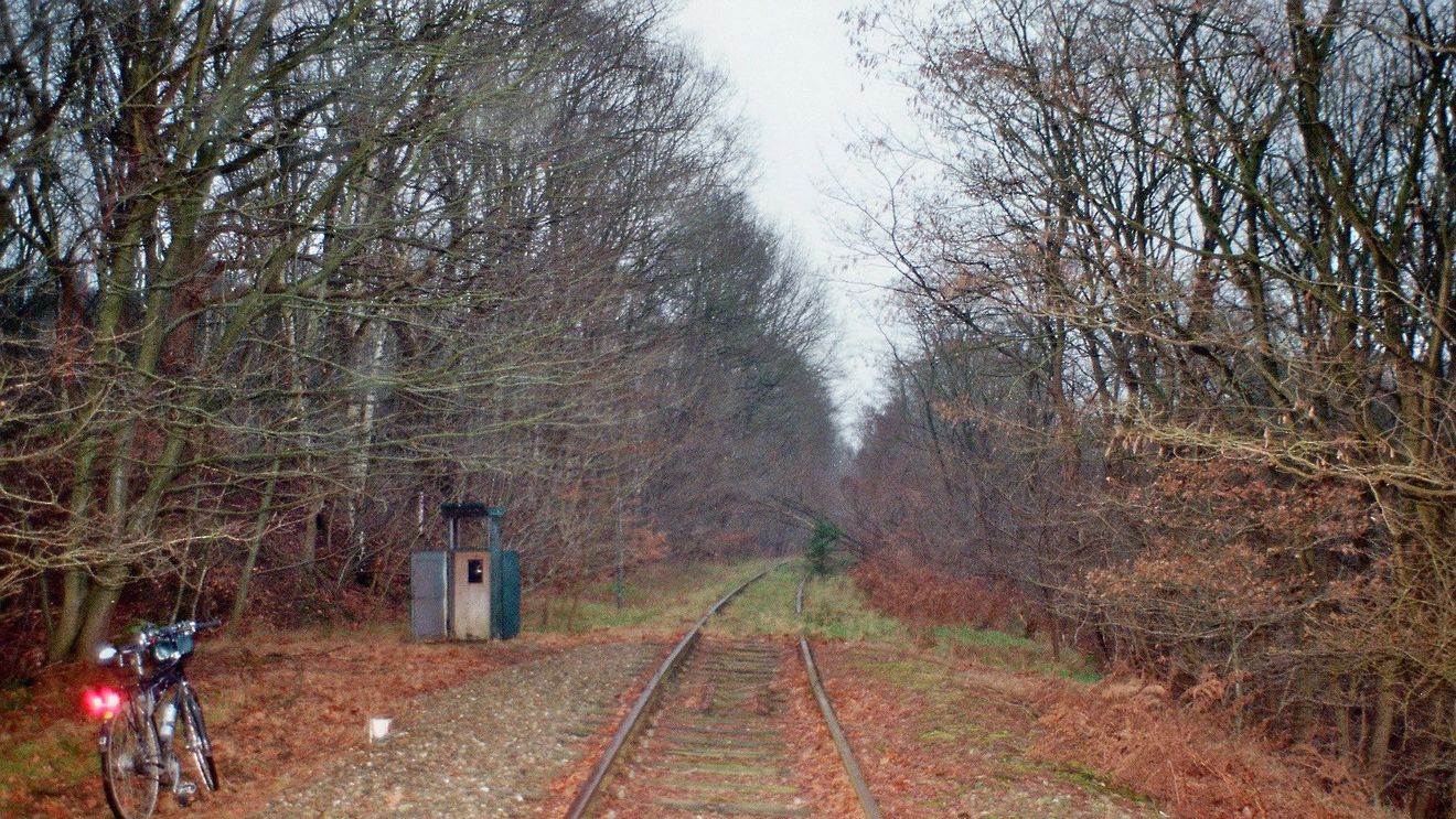 Calea ferată strategică Rinul de Fier ar putea reveni la viață pentru a contracara amenințarea Rusiei