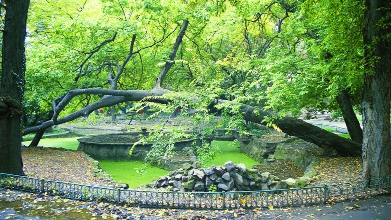 Avocatul USR: Tribunalul Bucureşti respinge mutilarea Parcului Cişmigiu/ Sentința nu este definitivă, dar suspendă executarea proiectului