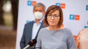 Surse: Miniștrii propuși în guvernul Cioloș vor fi audiați marți, cu Ioana Mihăilă programată în prime-time. Votul decisiv - miercuri