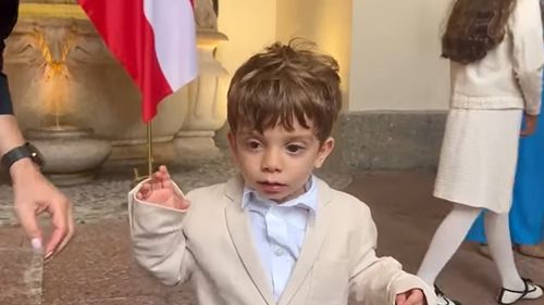 VIDEO Băiețelul președintelui Nicușor Dan, de vorbă cu jurnaliștii români prezenți la întâlnirea șefului statului cu omologul său austriac