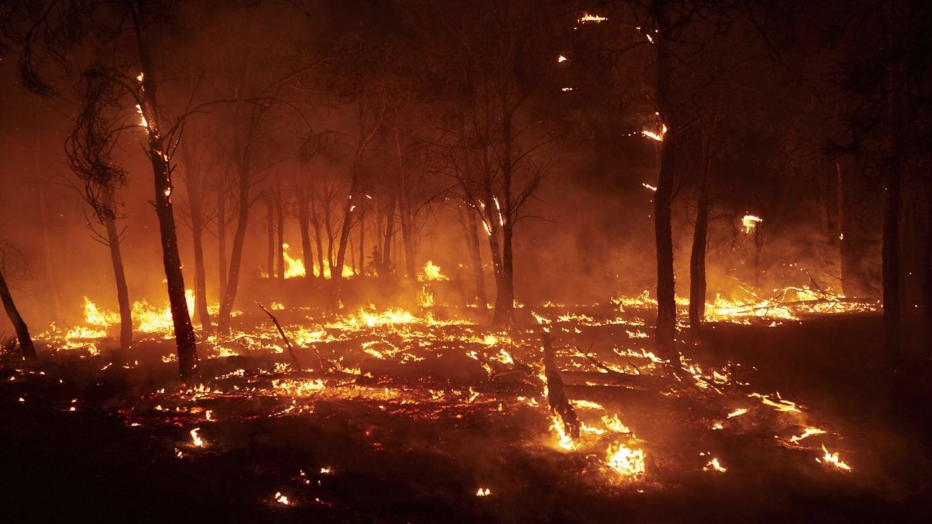 Incendiile au devastat alte 30.000 de hectare în Spania în doar 24 de ore