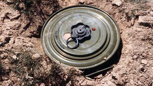Un general polonez a fost demis după ce 240 de mine antitanc au fost găsite în apropierea unui depozit IKEA / O persoană a sunat armata pentru a întreba „când vă ridicați minele?”
