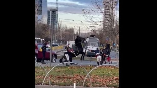 Viralul zilei: Un jandarm a căzut de pe cal de 1 Decembrie