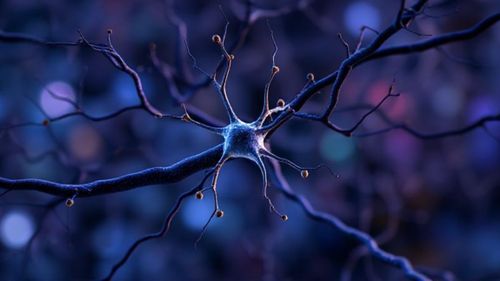 O echipă internațională de cercetători atinge o performanță considerată imposibilă / Prima hartă 3D completă a creierului unui mamifer