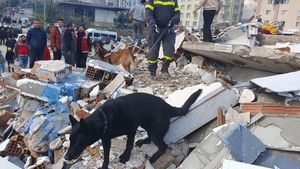 Echipa de salvatori români a participat la scoaterea de sub dărâmături a unei femei în Turcia/ Aceasta a fost predată conştientă echipajelor medicale
