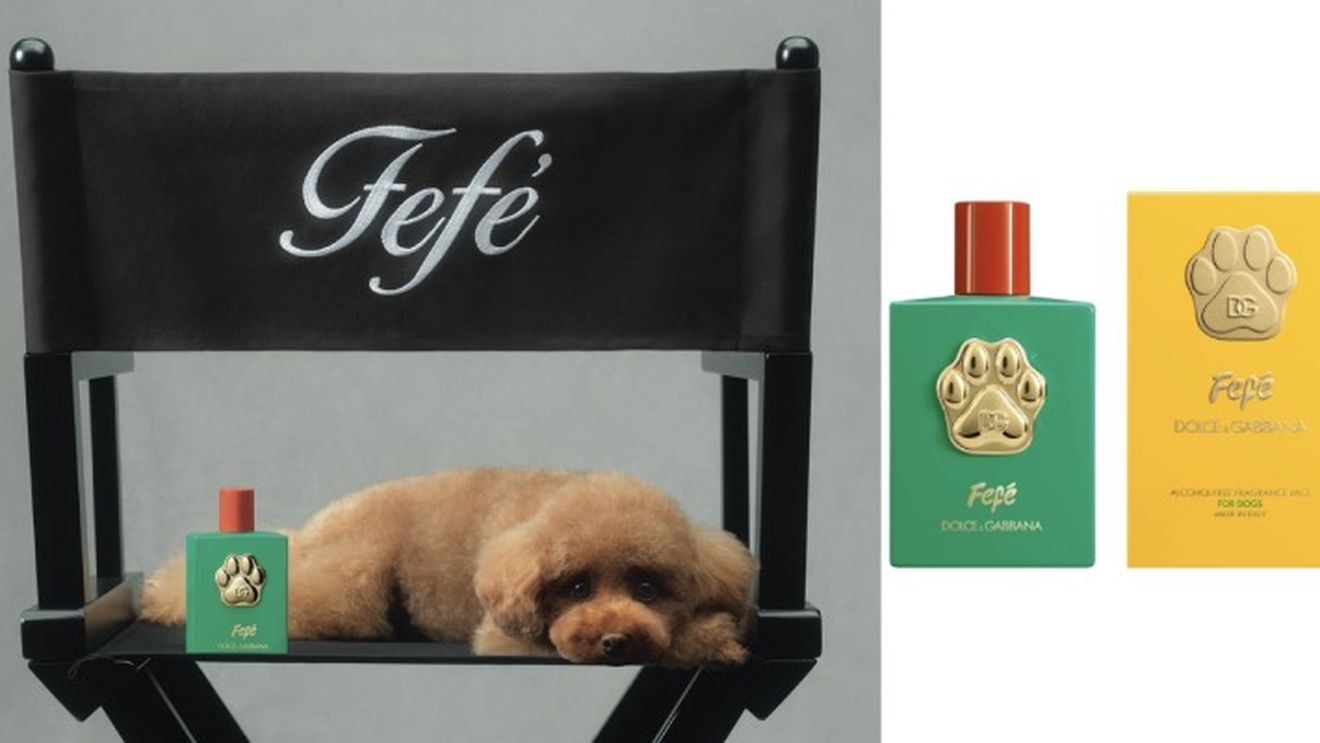Dolce & Gabbanna lansează un parfum de lux pentru câini. Prețul: 99 de euro flaconul