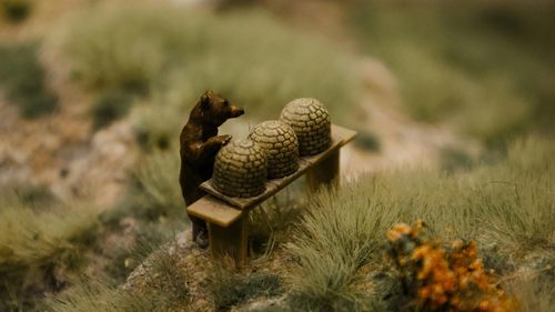 Știre în presa austriacă: Un urs, bănuit că ar fi prădat şi distrus un stup din sudul țării / În Austria trăiesc doar câțiva urși, cei mai mulți vin din Slovenia sau Italia