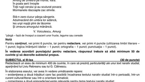 BAC 2019 Subiectele și baremele de la examenul la Limba și literatura română, sesiunea a II-a, au fost publicate