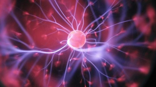 Studiu: "Neuronii memoriei" pot crește și atunci când suntem adulți / ”Simplul fapt că creierul nostru adult poate genera neuroni noi schimbă radical modul în care privim învățarea de-a lungul vieții”