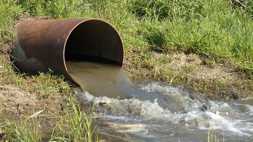 ANALIZĂ | Apa uzată în agricultură: un model de economie circulară sau o problemă ecologică? / Daniel Buda: „Conform unei estimări, până în 2030, jumătate dintre bazinele hidrografice ale Europei ar putea suferi din cauza deficitului de apă”