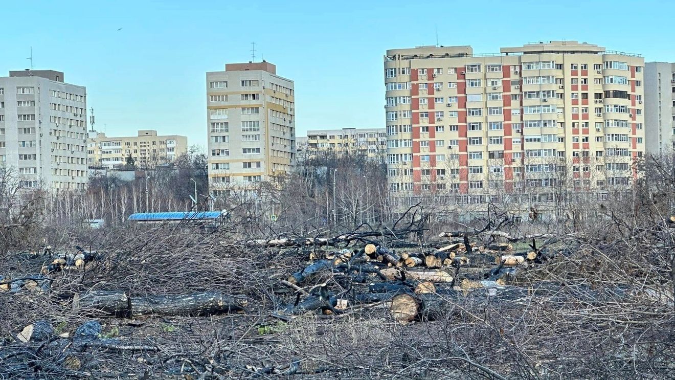Ministrul Mediului: Tăierile ilegale de arbori din spațiile verzi urbane trebuie să devină infracțiuni
