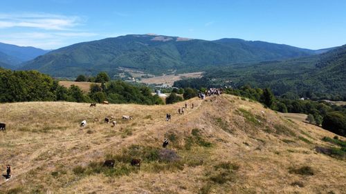 FOTO O poteca tematică de 3,7 km realizată în zona împădurită, cu lacuri și fagi seculari din Nucșoara/ Unde începe traseul „Arhitecții naturii”