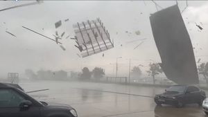 VIDEO Dezastru în Oradea după furtuna violentă de marți seara: 200 de mașini avariate, acoperișuri, indicatoare rutiere, arbori și stâlpi smulși de vânt în tot orașul, parcul din centru devastat / Vântul a suflat cu peste 100 km/h