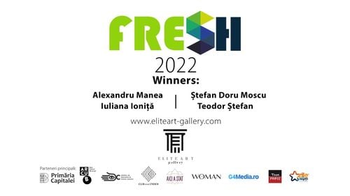 Jurizare concurs de artă vizuală FRESH (Parteneriat)