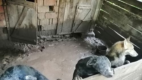 FOTO Imaginile dezastrului în urma inundațiilor din Alba. Case distruse, mașini contorsionate, drumuri rupte, arbori smulși