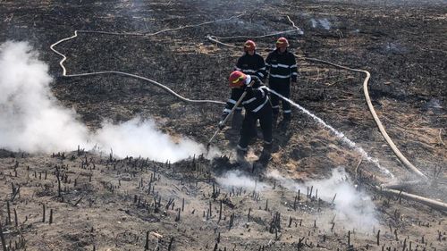 FOTO-VIDEO Pompierii se luptă de două zile cu incendiul de vegetație și dejecții provenite de la ferma de porci din Periș