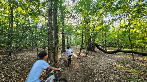 Piste de biciclete pe o lungime de peste 190 kilometri, pe digurile a cinci râuri din vestul României / Investiţie de aproape 80 milioane lei