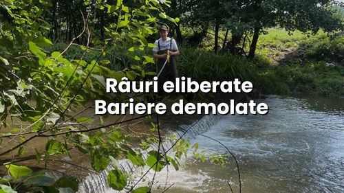 România începe să refacă râurile: bariere și praguri vechi demolate