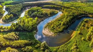 Amazonia, care joacă un rol crucial în combaterea încălzirii globale, a pierdut în mai puţin de 40 de ani o suprafaţă aproape echivalentă cu cea Columbiei