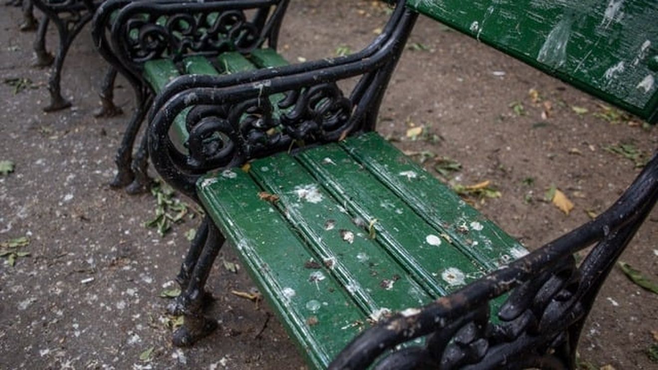 Viceprimarul Capitalei: Cinci posturi de pază permanente, în Parcul Cişmigiu / Anunțul, după ce G4Media.ro a scris că parcul a ajuns într-o stare deplorabilă, cu bănci murdare, vandalizate și vegetație arsă de soare