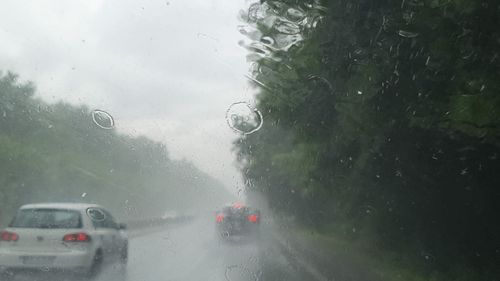 Meteorologii anunţă precipitaţii moderate cantitativ, ninsori la munte, intensificări ale vântului de luni până miercuri / Ploile vor începe din vest și vor acoperi toată țara