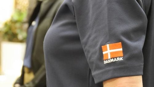 Suedia şi Danemarca vor coopera mai strâns în lupta împotriva crimei organizate