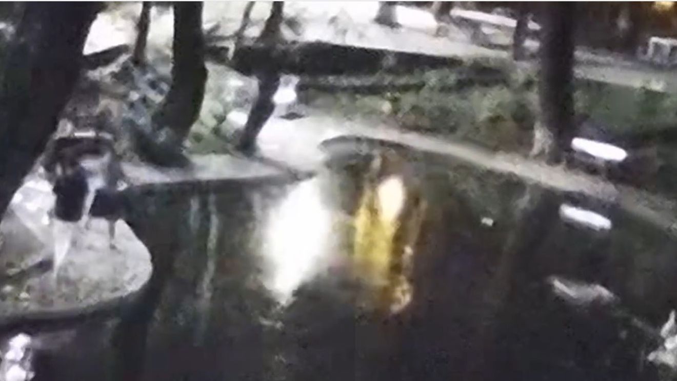VIDEO Câțiva tineri au distrus parțial iazul recent amenajat în Parcul Kiseleff / Primarul Clotilde Armand a cerut poliției să îi identifice și anunță că va depune plângere penală