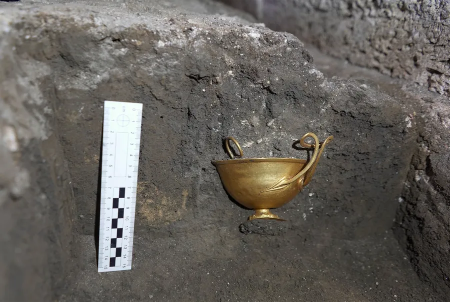 vas aur callatis arheologie arheolog