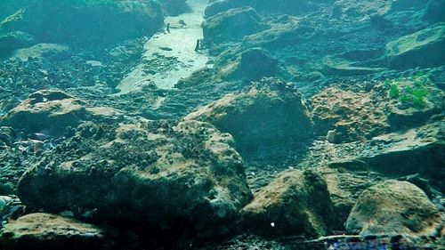 Două epave din secolul al XVIII-lea descoperite lângă Costa Rica erau nave daneze care făceau comerţ cu sclavi