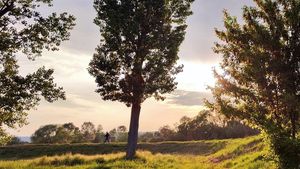 METEO: Căldură, nopţi tropicale şi episoade de instabilitate atmosferică, în următoarele două săptămâni / Prognoza pe regiuni