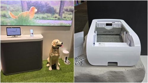 IFA 2024: Tehnologii pentru animale de companie: hrănitor inteligent care servește alimente proaspete, aspirator robot care liniștește câinele agitat și multe litiere automate / „Animalul” de companie peste care am dat