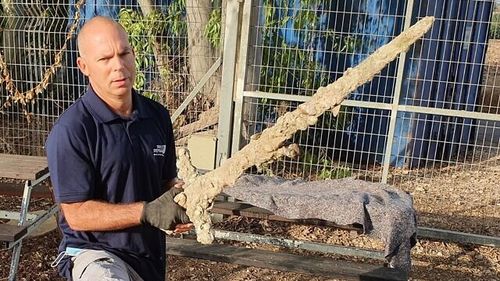 O sabie cruciată veche de aproape un mileniu, descoperită de un scafandru în largul coastei Israelului