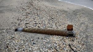 O componentă a unei rachete, găsită de studenți lângă Gura Portiței, pe litoralul românesc al Mării Negre / Forțele Navale: Provine de la o rachetă antiaeriană sol-aer de fabricație rusească. Este posibil ca astfel de componente să mai fie aduse de curenții marini