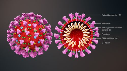 VIDEO Ce le pot spune profesorii elevilor despre coronavirus – idei de lecție după apariția primului caz în România