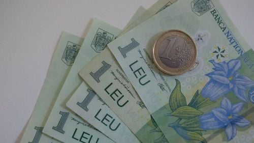 Pensie de un leu, în Timiș, pentru o persoană care a lucrat o zi / Cea mai mare: peste 46 de mii de lei, primită de un fost aviator