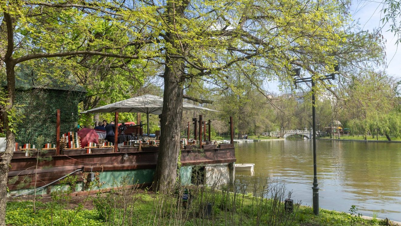 FOTO Un salon de evenimente şi o terasă, dezafactate în Parcul Cişmigiu / ”Dăm jos toate construcţiile ilegale” / ”Ani la rând s-au întins fără acte”