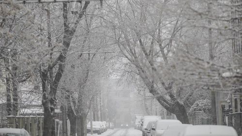Cod roşu de ninsori în Cehia. Perturbări semnificative ale transporturilor, alimentării cu energie electrică şi aprovizionării cu bunuri de larg consum