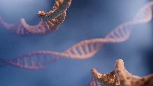 Omul de știință James Watson, laureat al Premiului Nobel și co-descoperitor al structurii ADN, a murit la 97 de ani