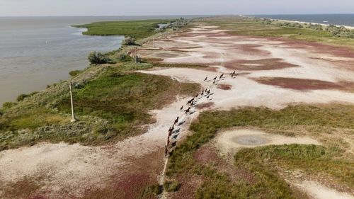 Proiect de 15 milioane de euro, bani europeni, pentru reabilitarea stăvilarelor Edighiol și Periboina, care controlează fluxul de apă între Marea Neagră și Lacul Sinoe și pot proteja habitatele naturale din zonă