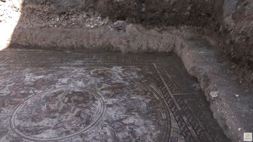 VIDEO Un mozaic vechi de 1600 de ani a fost descoperit în Siria: ”Unul din cele mai rare și complete din țară”, spune directorul săpăturilor arheologice