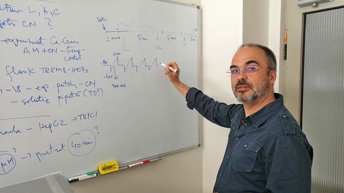 Consiliul Cercetării are o nouă conducere: Alexandru Babeș, cercetător în Neurobiologie la București, care a mai fost în 2011 și 2016 președintele organismului care poate propune retragerea acreditării unei întregi școli doctorale – SURSE