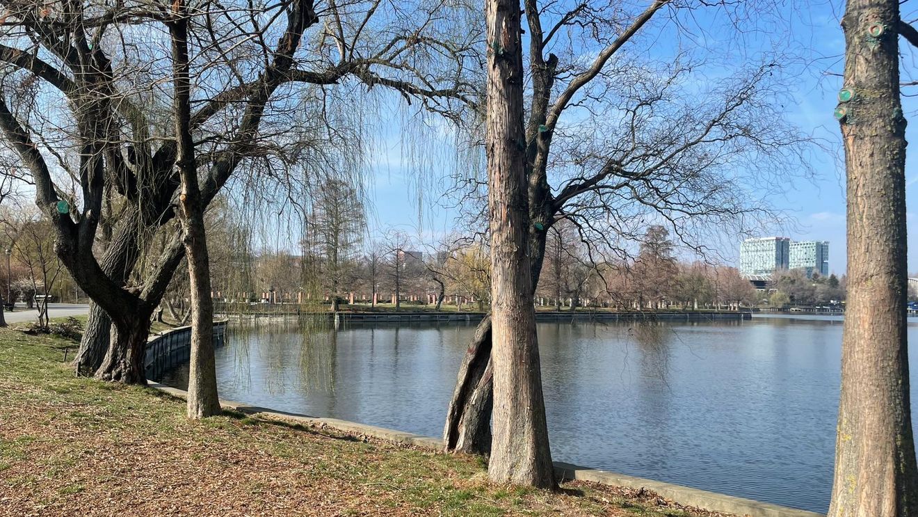 Încep lucrările pentru punerea în siguranţă a malurilor din Parcul Herăstrău