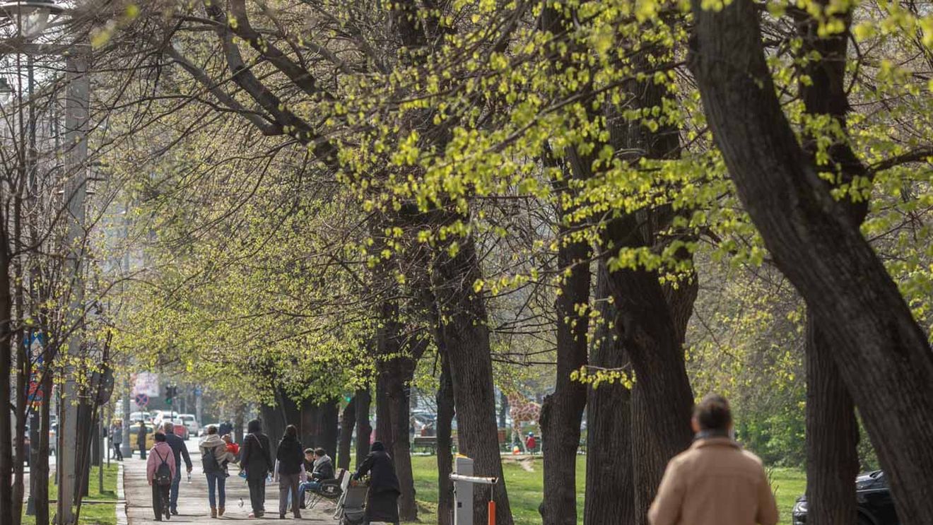 Vremea în București: Se răcește, plouă slab și bate vântul