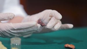 Fragmente de proteine vechi de 24 de milioane de ani, recuperate în premieră din fosile de animale dispărute, promit o nouă eră în studiul evoluției